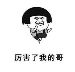 金禹獎 || 卓寶參與項目勇奪“一金三銀”