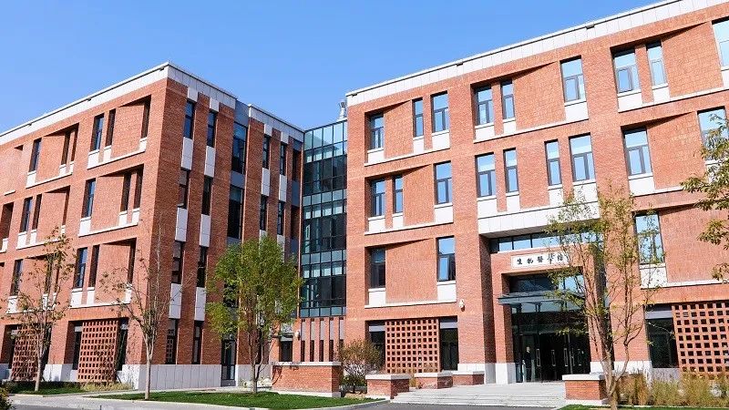 清華大學1.jpg